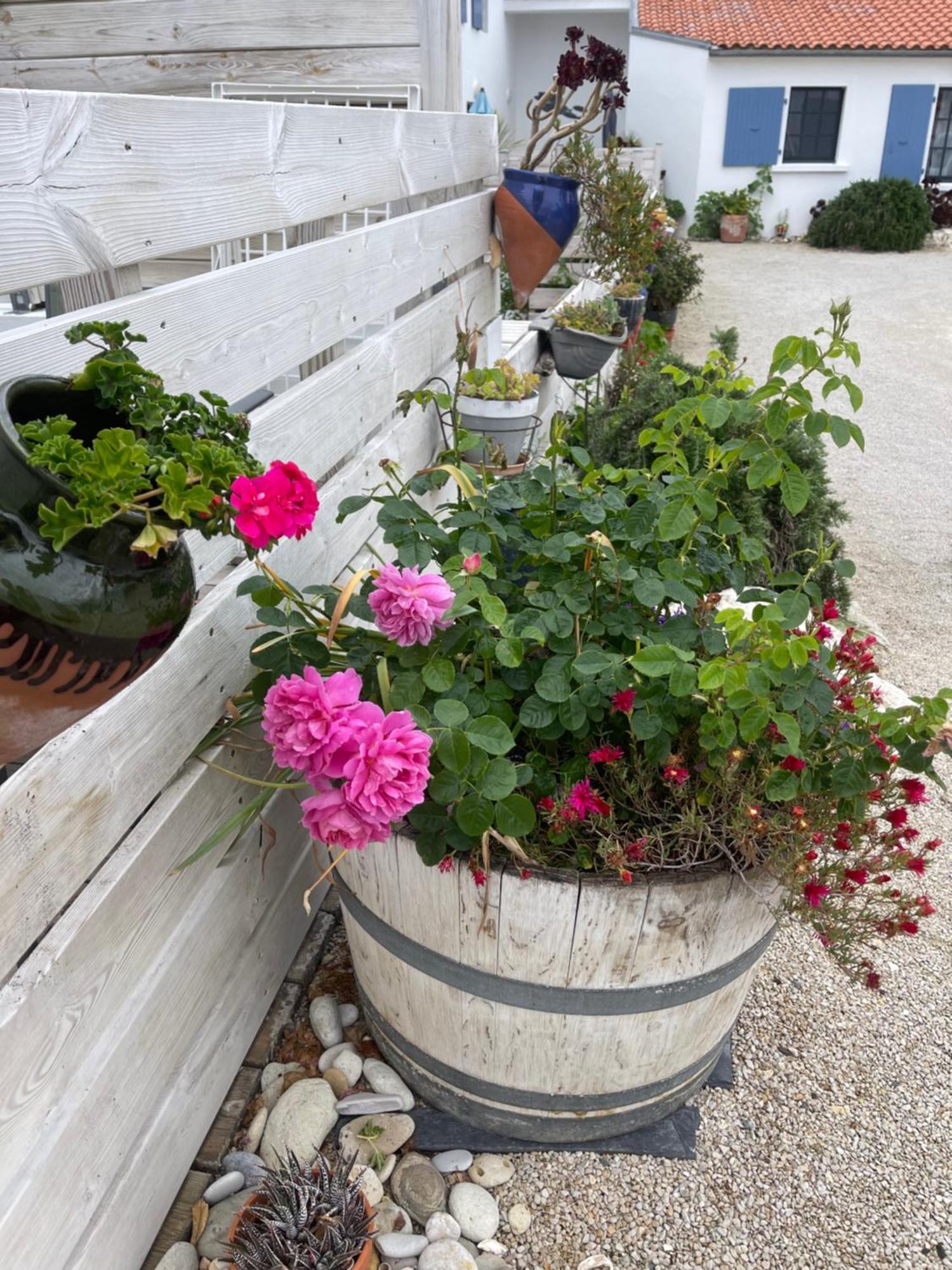 Clos Des Aigrettes -6 Gites De Charme Et Confort A 30M Du Port De La Cotinière Exterior foto
